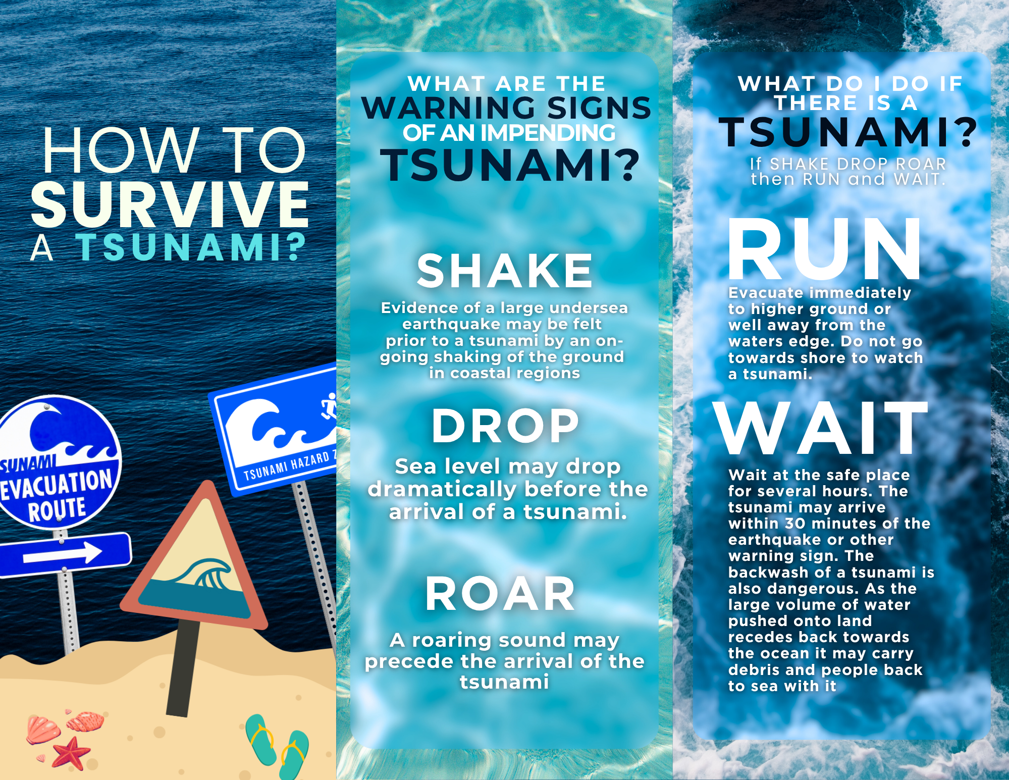 Brochure design
